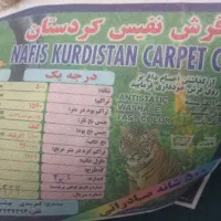 فرش 12 متری|فرش|قروه, |دیوار