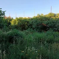 فروش-زمین-مسکونی