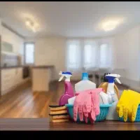 خانم جهت نظافت