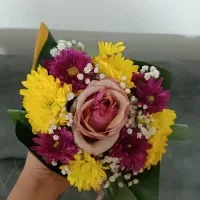 باکس گل طبیعی دسته گل طبیعی جارگل|گل و گیاه طبیعی|قم, باغ کرباسی|دیوار