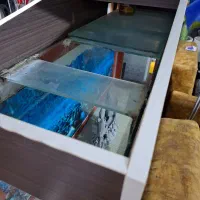 آکواریوم|ماهی|کرمان, |دیوار