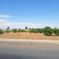 باغ-علوی