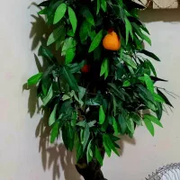 وسایل منزل