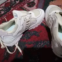 کفش نوبفروش میرسد