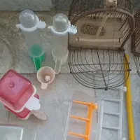 قفس شکاری کلکسیونی