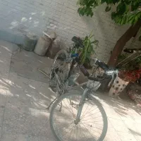 دوچرخه کورسی و کوهستانی|دوچرخه، اسکیت، اسکوتر|ایذه, |دیوار