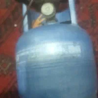 یک عدد پیکنیک کوچیک نو نو  تمیز