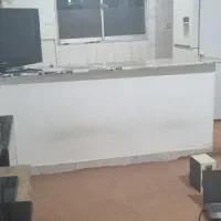 همخونه خانم