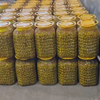 زیتون سوپر ویژه هسته دارطارم|خوردنی و آشامیدنی|تهران, میدان میوه و ترهبار مرکزی|دیوار