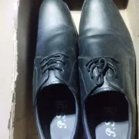 کفش ساعت چراغ ترمز پارس