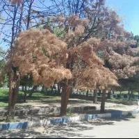 راهنمایی میخوام ورزش