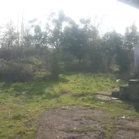 ۲۵۰متر زمین مسکونی شکاری