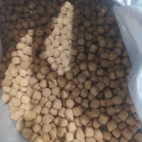 مقداری غذای خشک سگ و جای دستشویی سگ موجوده|لوازم جانبی حیوانات|اهواز, شهرک برق|دیوار