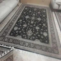 به دلیل مهاجرت