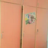 فقط درب کمد دیواری