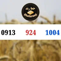 0913.825.7005|سیم‌کارت|اصفهان, خواجو|دیوار