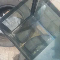 اکواریوم|ماهی|شیروان (خراسان), |دیوار