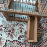 قفس شکاری|لوازم جانبی حیوانات|سنندج, |دیوار