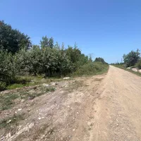 فروش باغ و زمین ۹۵۰۰ متری در رشت پسیخان|فروش زمین و ملک کلنگی|رشت, پسیخان|دیوار