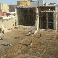 بخون داداش بعد