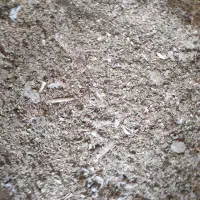 کود مرغ