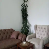 فروش گل