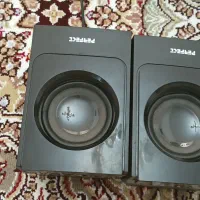 اسپیکر فلش خور