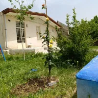 اجاره ی ویلا روزانه در سراب ایوان|اجارهٔ کوتاهمدت ویلا و باغ|ایلام, |دیوار