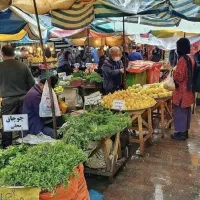 فروش مغازه در شهر لشت نشا