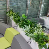 تزئینات بوته ایی وگیاه سبز برای داخل فلاور باکس