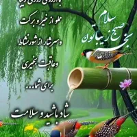 نیازمند سرویس از محدوده کفترک ب فرصت شیرازی