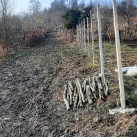 کد۴۸۳زمین ۲۰۵متری و۲۹۱متری ردستای،چهل ستون|فروش زمین و ملک کلنگی|لاهیجان, آهندان|دیوار