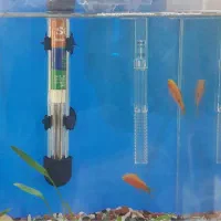 آکواریوم کوچک