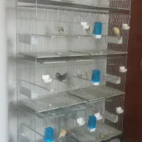 هشتخوان بازاری