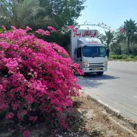 از شمال تا جنوب با کامیون 6.5مترفرزانگانبارعضومجاز