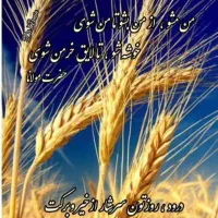 فروش کاه  دیم