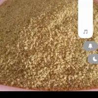 بلغور