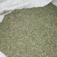 آویشن.. هزبی کردستان
