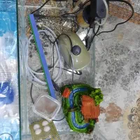 آکواریوم شیشه شرکتی