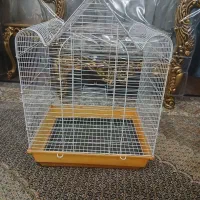 قفس عروس هلندی
