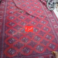 فرش دست بافت  کارکرده|فرش|کرج, شهرک بهارستان|دیوار