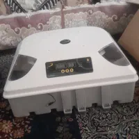 دستگاه جوجه کشی داتیس