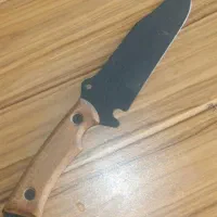 شکاری