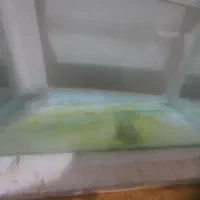 ۲عدد اکواریوم دونه ای ۲۵۰|ماهی|پاکدشت, پاکدشت (مامازند)|دیوار