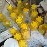 دبه|ظروف نگهدارنده، پلاستیکی، یکبارمصرف|اندیمشک, |دیوار