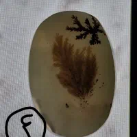 انواع نگین های نچرال و با کیفیت|جواهرات|قم, نیروگاه|دیوار