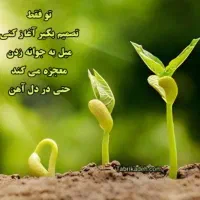 بهشت کوچک .. مرکز ترک اعتیاد آقایان