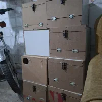 لانه گرینچیک