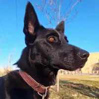 واگذاری رایگان به شرط، خواهشا اول کامل بخونید