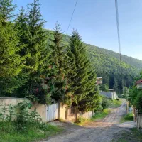 ویلا جذاب وسط جنگل در ارتفاع/کد ۹۹